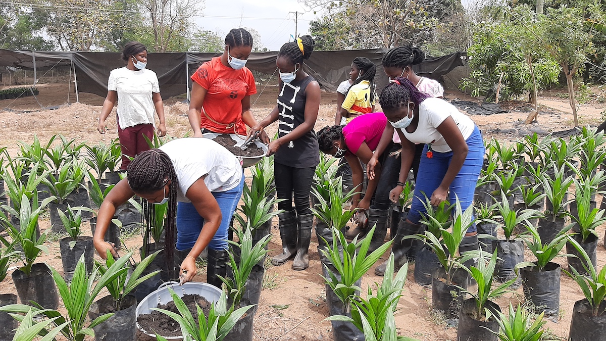 Learners-being-schooled-on-how-to-top-black-soil-in-nursery-bags
